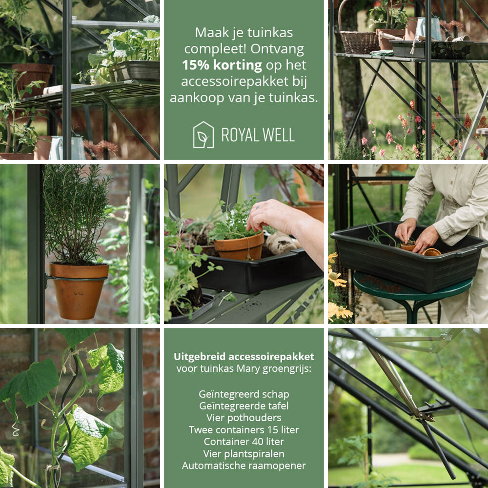 Royal Well Mary IV - Tuinkas - Groen - 241x212x425 cm - Veiligheidsglas & polycarbonaat