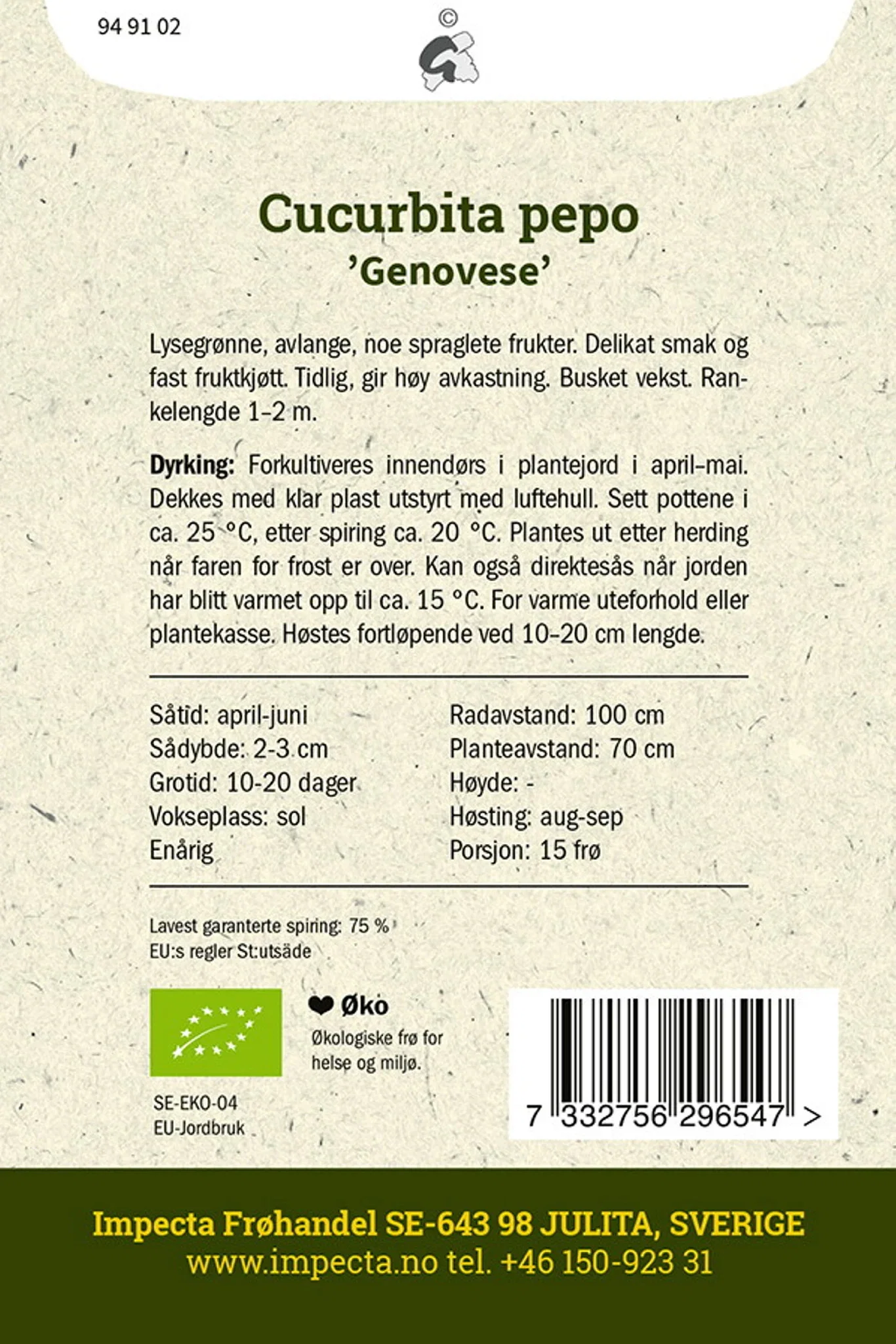 Cucurbita pepo 'Genovese' Squash 'Genovese'