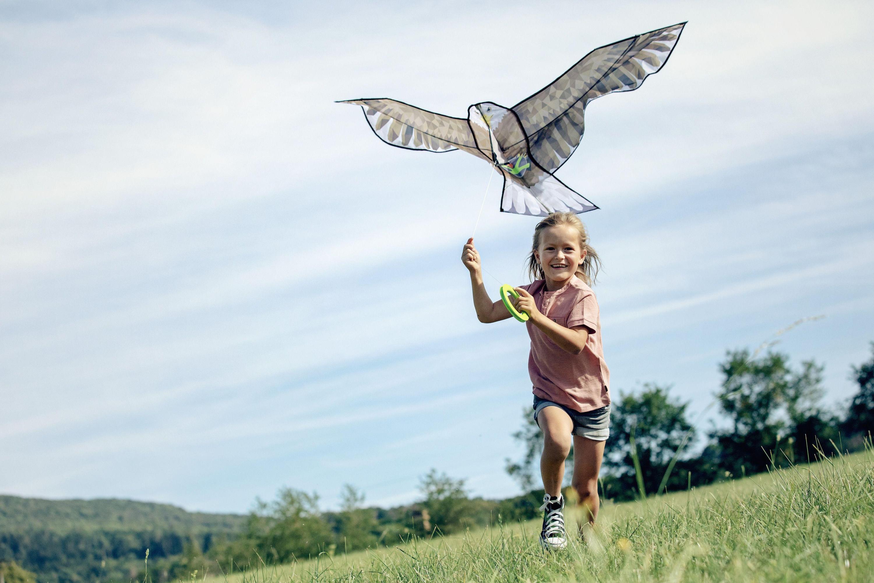 Flugdrache TEKids – ADLER in braun