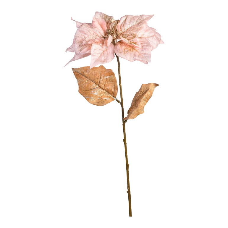 rosa, L 67 cm