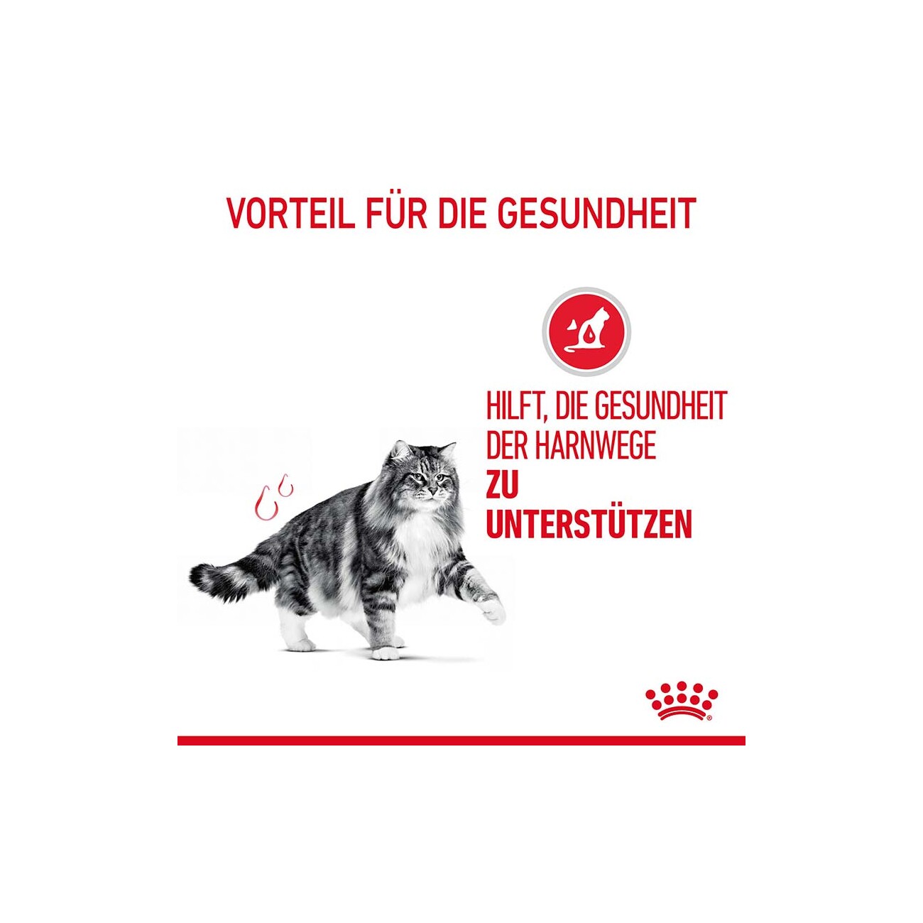 ROYAL CANIN Urinary Care 2 kg