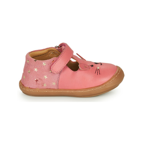 Citrouille et Compagnie - TIPELLE - Pink