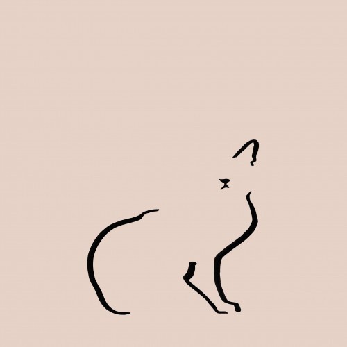 Ilustração de um gato doméstico sem moldura, na cor rosa.