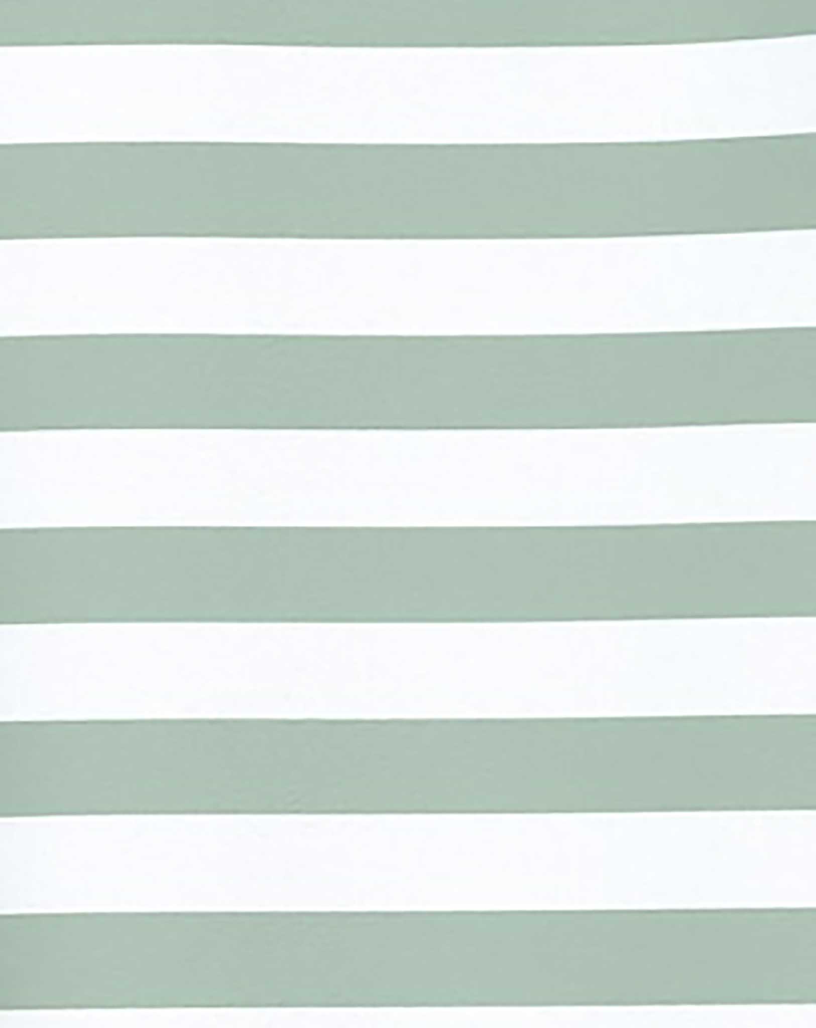 T-Shirt NKFVITANNI BOXY STRIPES in silt green
