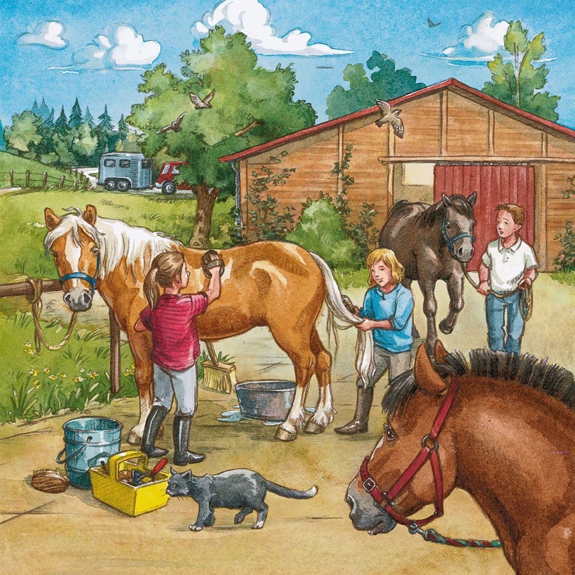 Puzzle Mein Reiterhof 3x49 Teile
