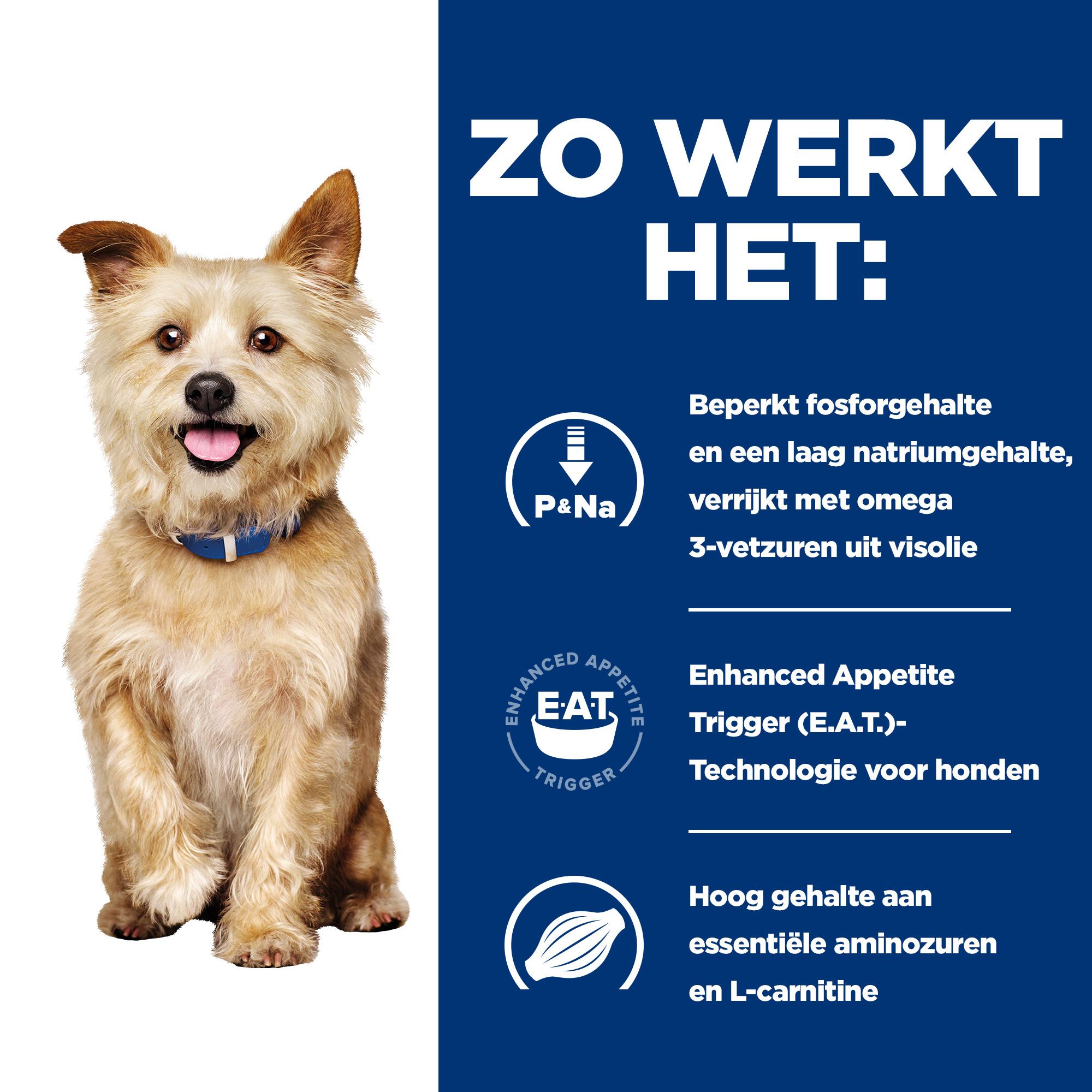 Hill's k/d Kidney Care - Prescription Diet - Canine - Blik