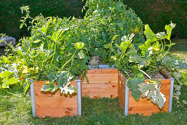 Carré Potager Mon Petit Potager GM 175 x 170 x h.48 cm