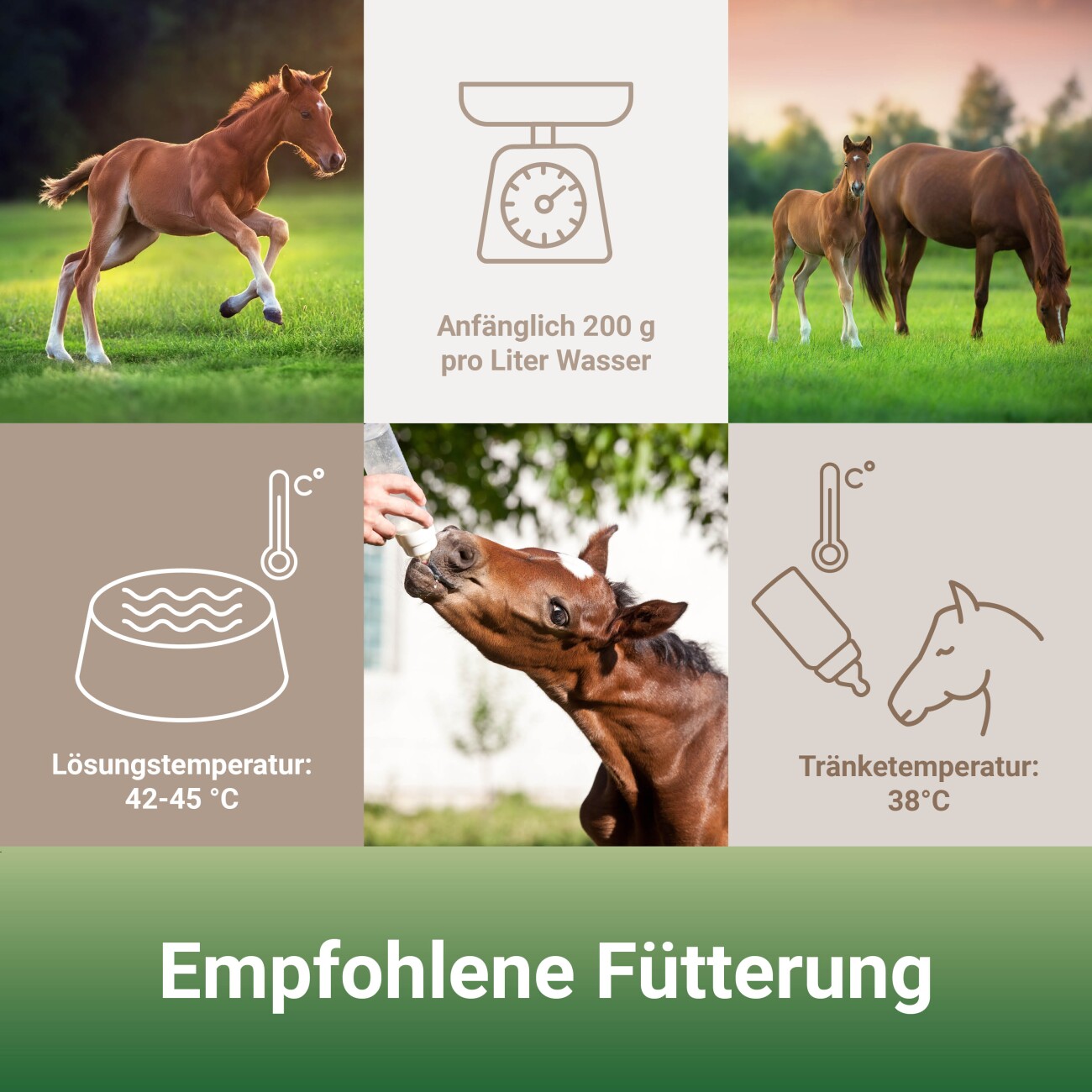 Panto FOHLENMILCH 5kg