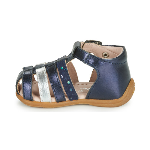 Aster - OFILIE - Marine