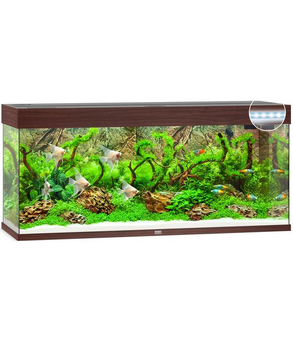 JUWEL® AQUARIUM Rio 240 LED