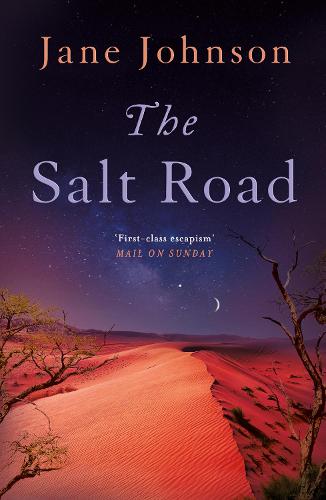 The Salt Road (Paperback)