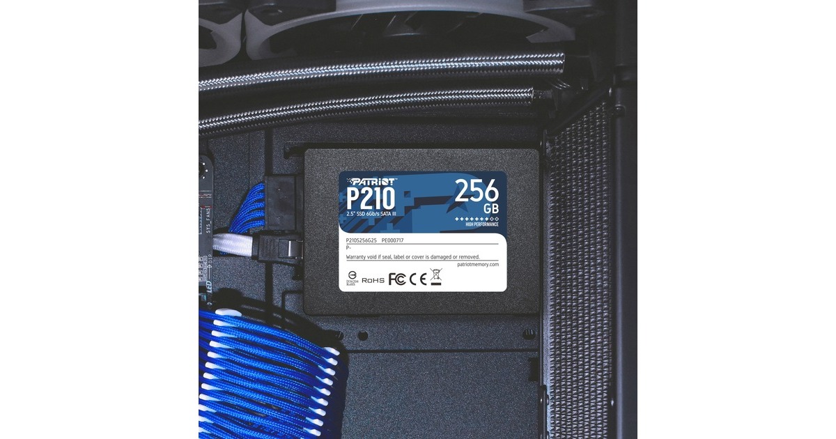 PatriotP210, 256 GB SSD  (Zwart, P210S256G25, SATA III)