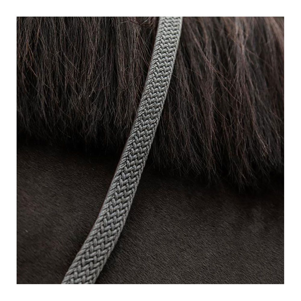 Kentucky LAINE 2M - Laisse pour chien gris