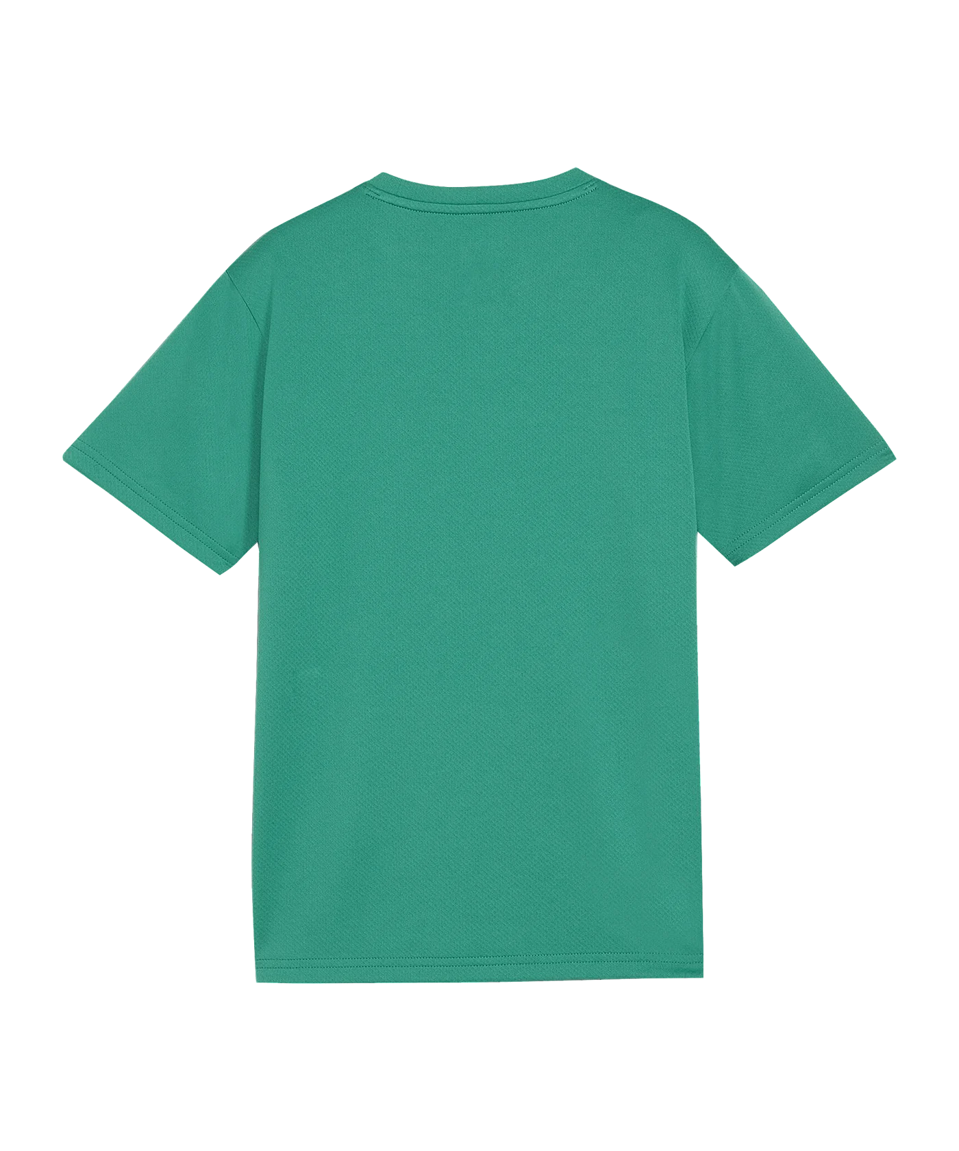 PUMA SK Rapid Wien Trainingsshirt Kids Grün F05