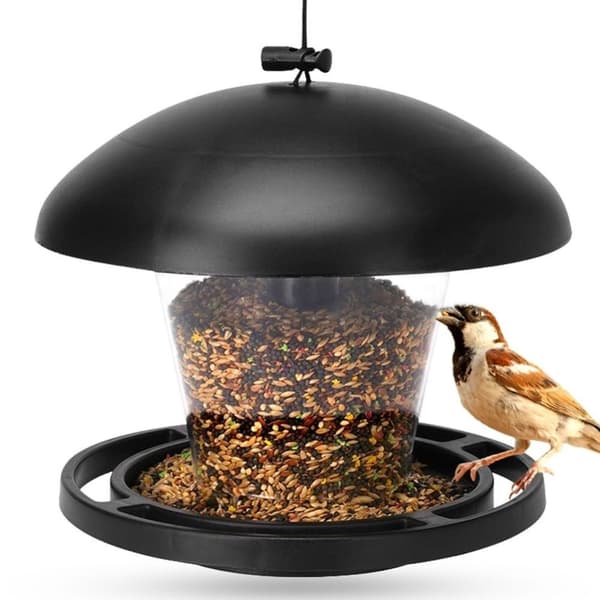 Seed Bird Feeder - Tiltrekk småfugler hele året