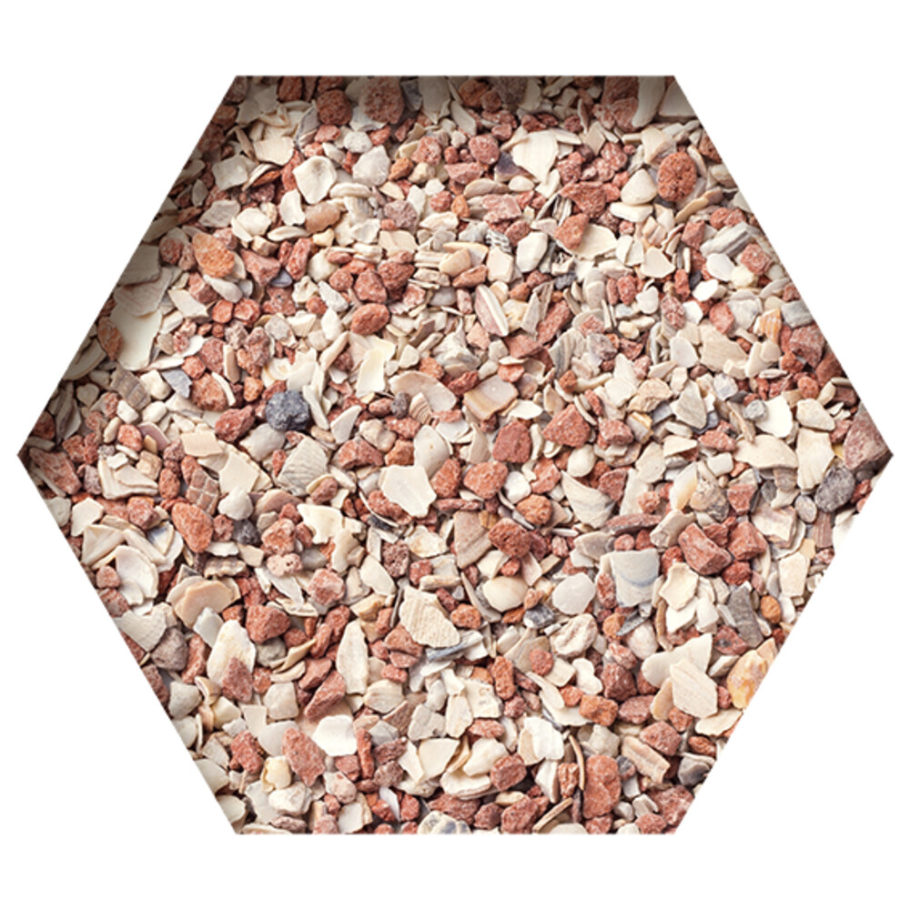 Beyers Grit Extra 20 kg