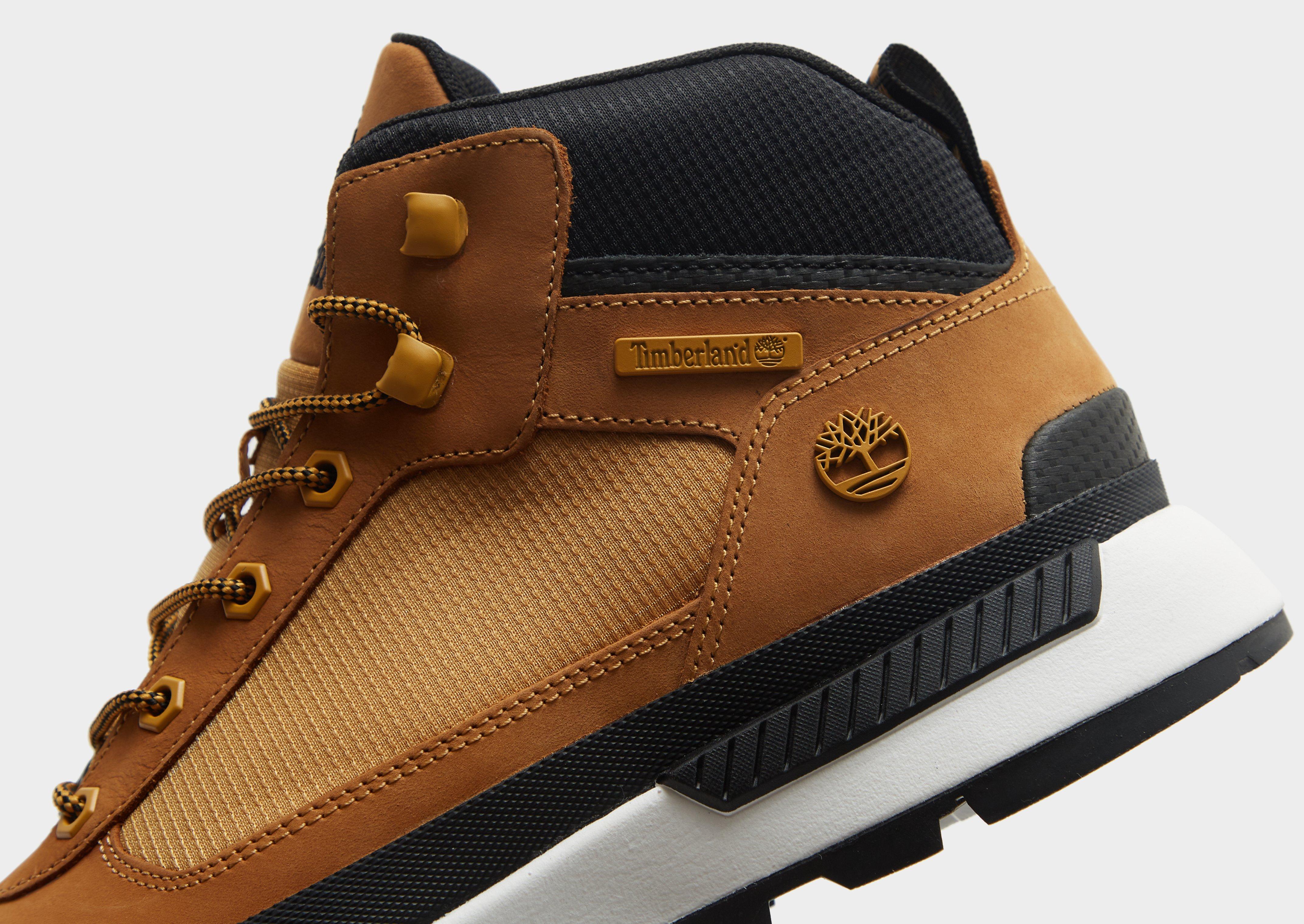 Timberland Field Trekker Homme