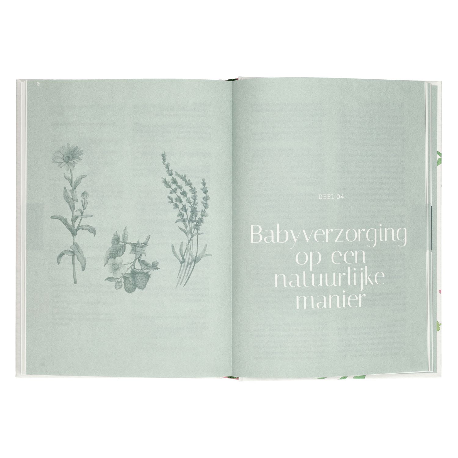 De kruidenapotheek voor het gezin, Martine van Huffel & Ruth Beretta