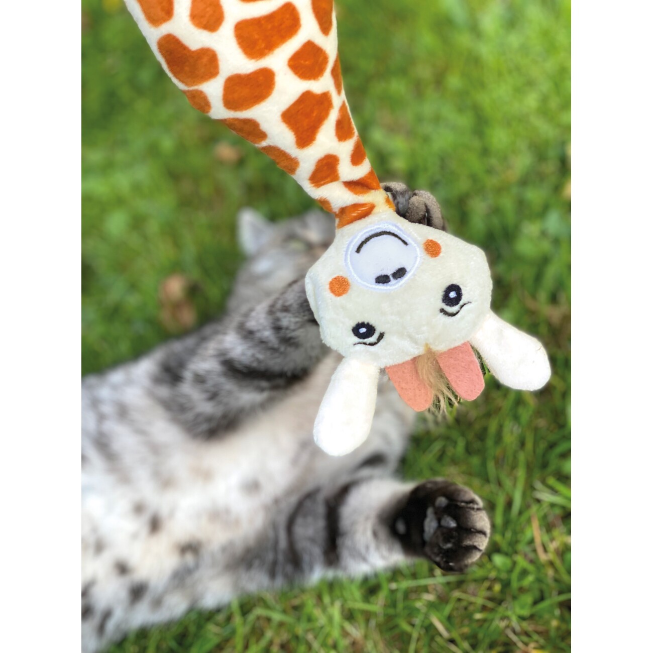Aumüller Spielzeug Giraffe