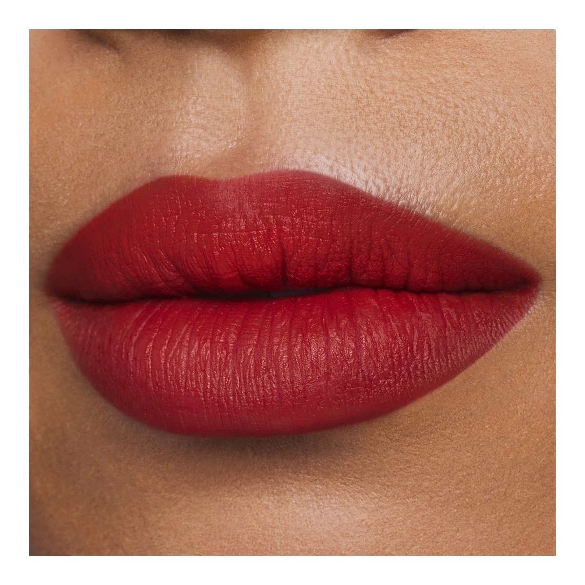 ESTEE LAUDER Pure Color Rouge à Lèvres Mat