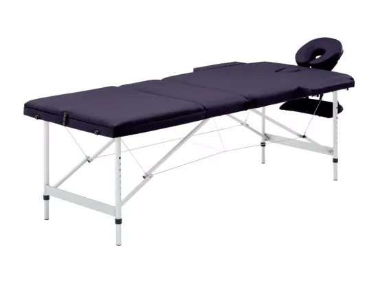 Table de massage pliable argenté 191 x 70 x 59 cm 02_0001828