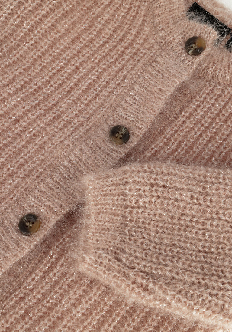 SOFIE SCHNOOR roze sofie schnoor vest p223604