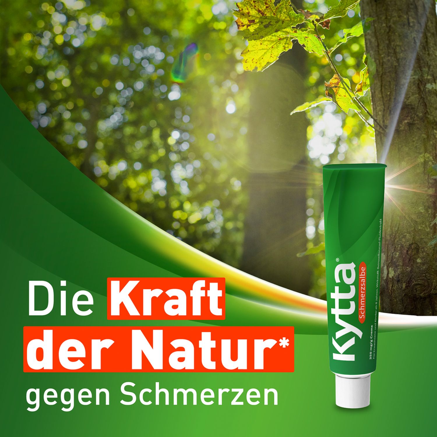 Kytta® Schmerzsalbe