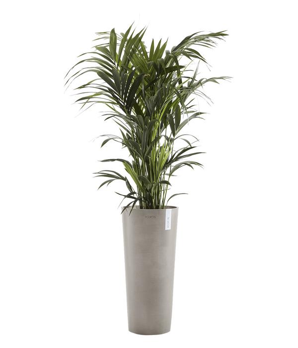 Ecopots Kunststoff-Topf Amsterdam hoch, rund