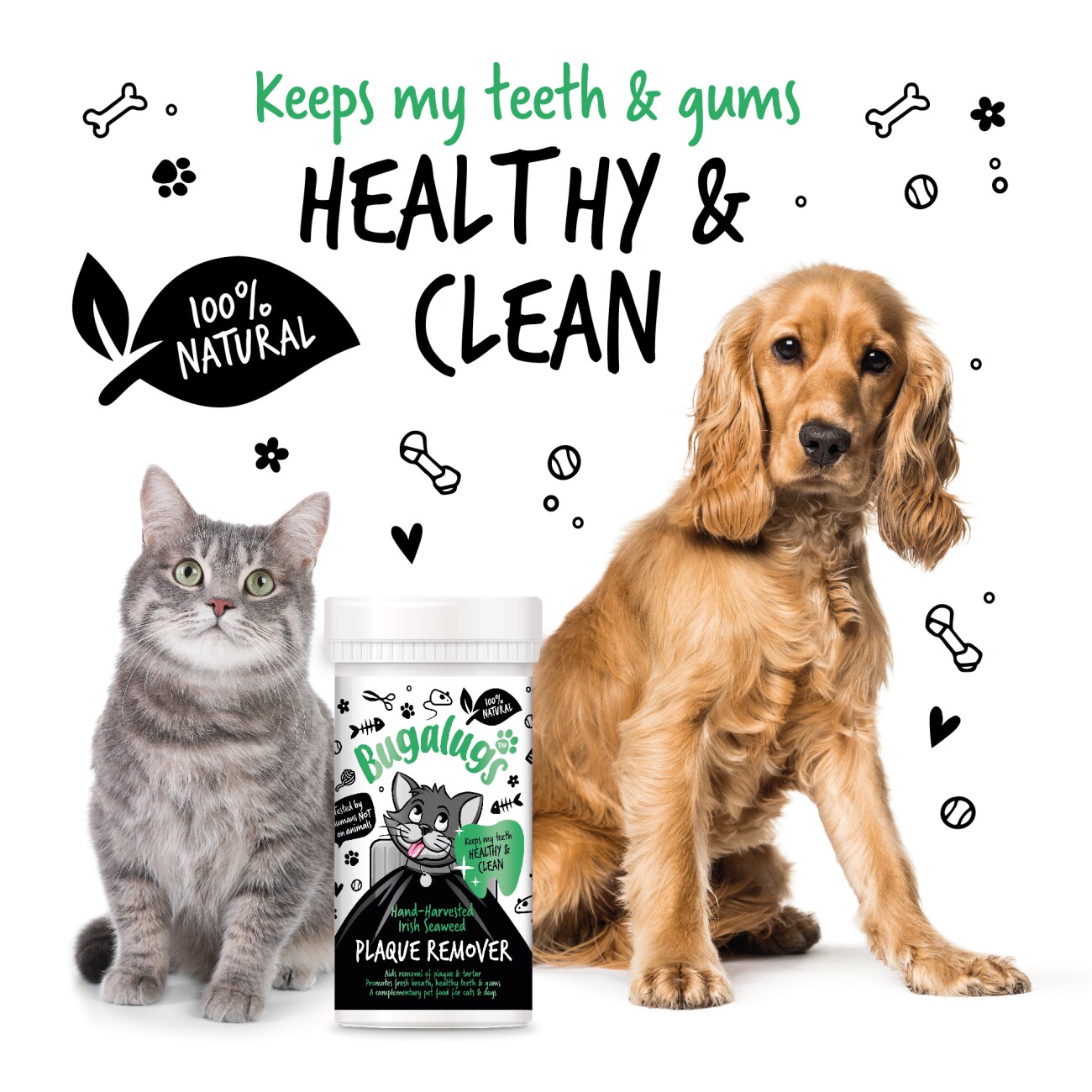 Bugalugs Plaqueentferner für Katzen 70 g