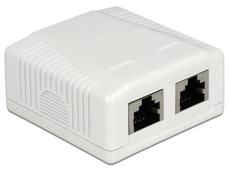 Delock Gehäuse RJ45 Cat.6A LSA 2-fach 2-Port Netzwerk-Anschlussdose