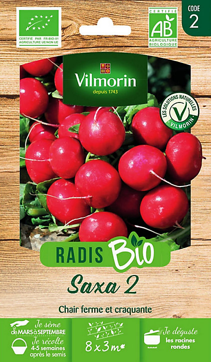 Graines de Radis Saxa 2 bio