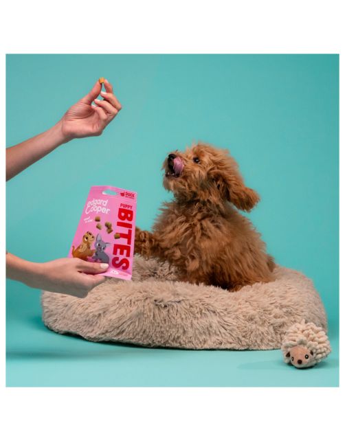 Edgard&Cooper Puppy Bites Small Eend - Hondensnacks