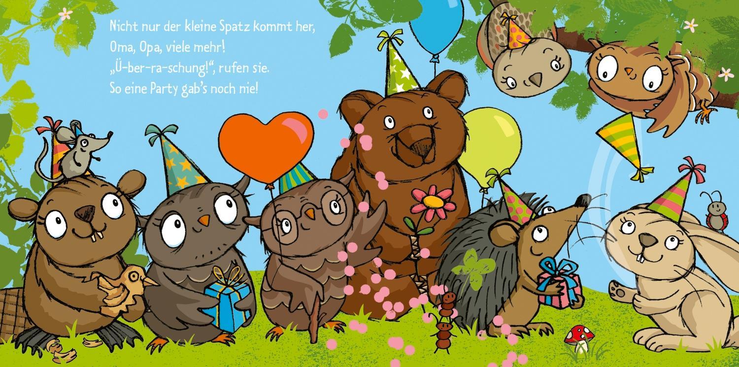 Die kleine Eule hat Geburtstag