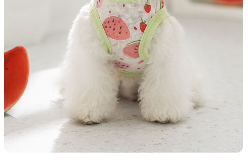Cissilli - Fruit Pet Top (verschillende ontwerpen)