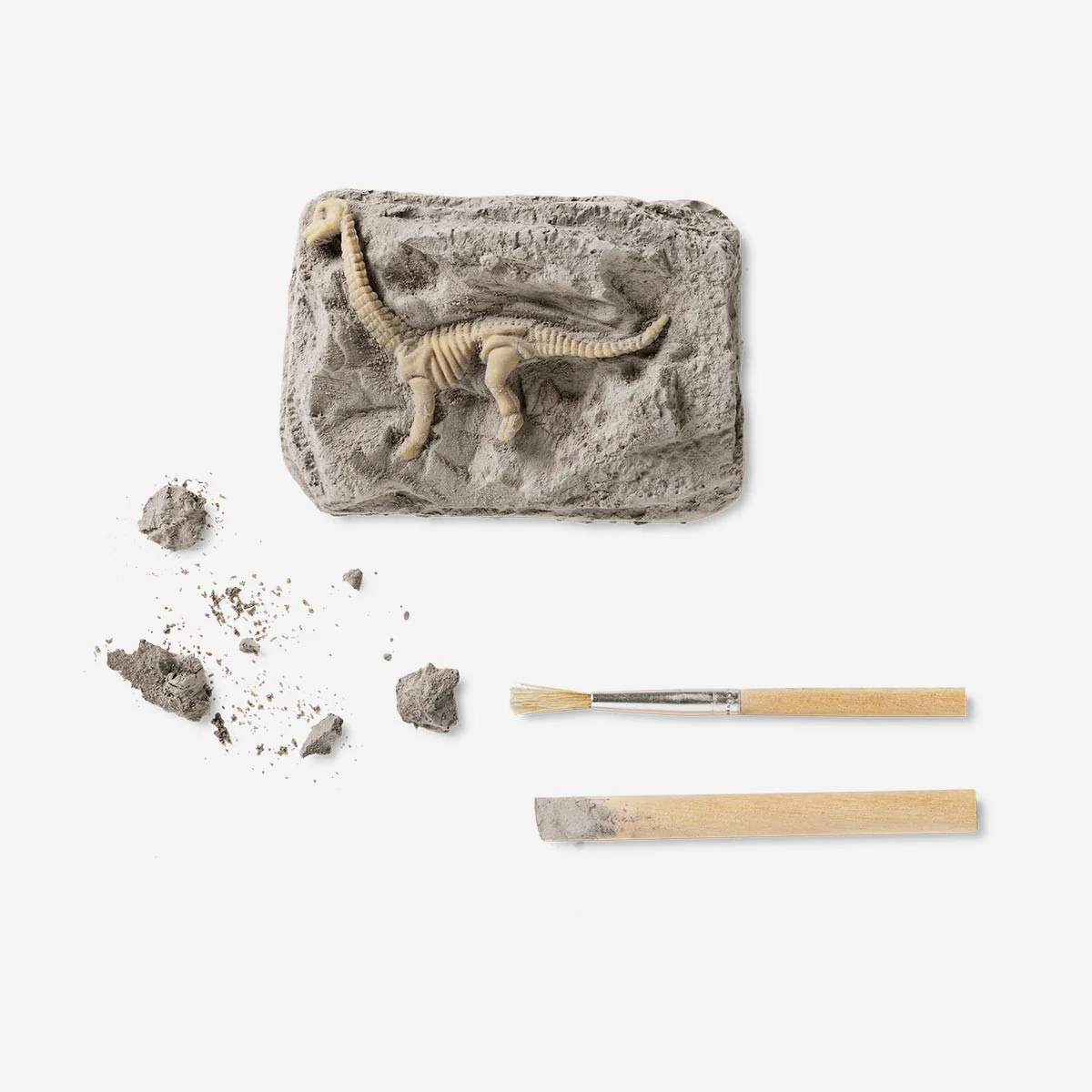 Udgravningssæt med fossil
