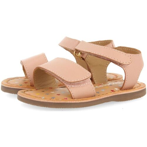 Gioseppo - HIMARE Rosa
