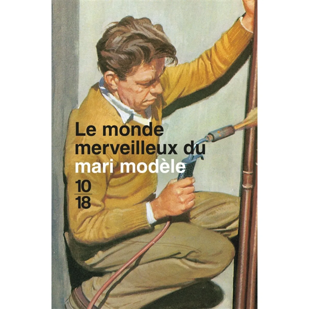 Le monde merveilleux du mari modèle · Occasion
