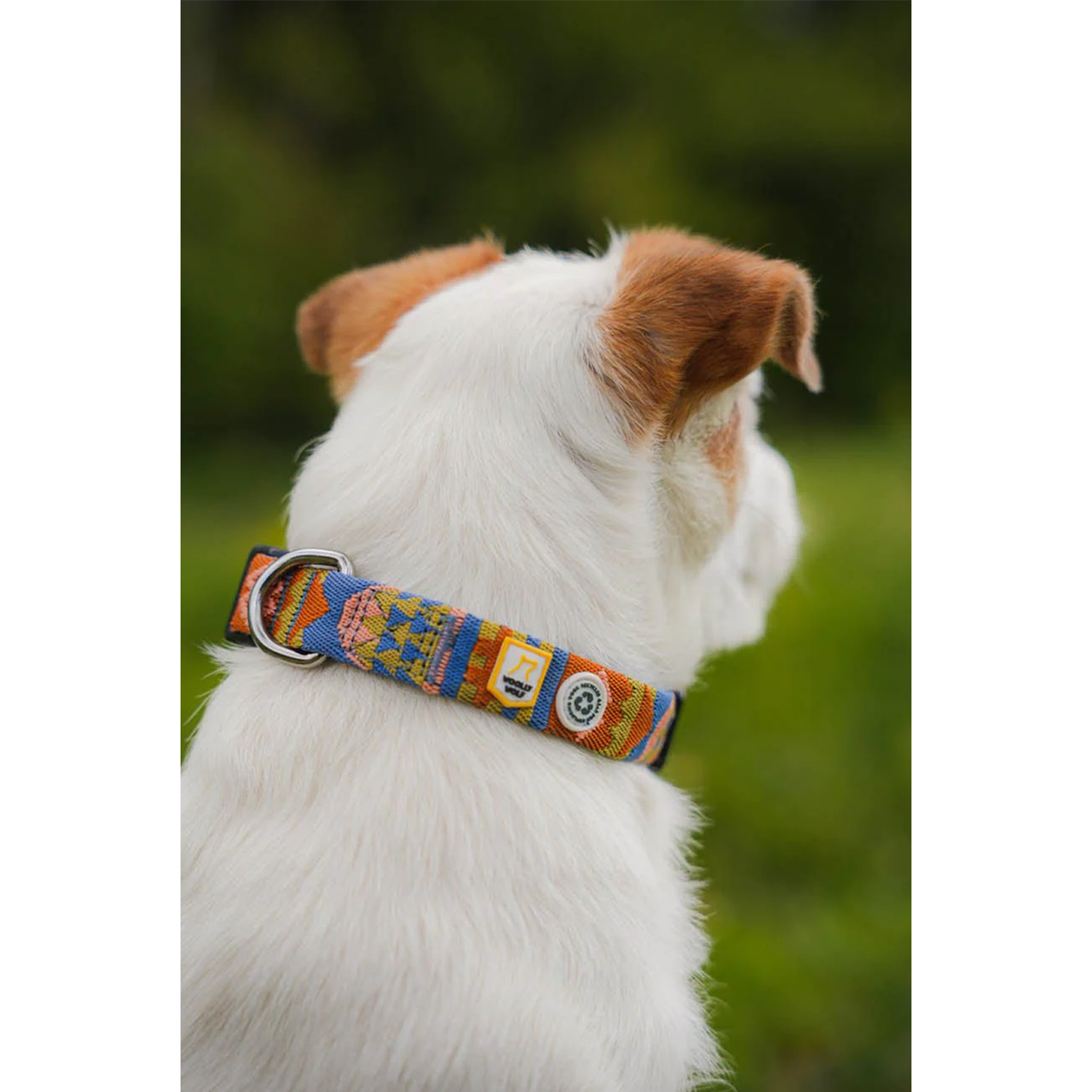 Woolly Wolf Nightless Night Collar