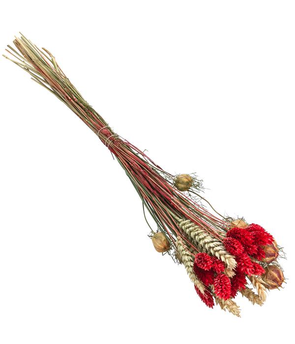 Trockenblumenbouquet Luna, rot