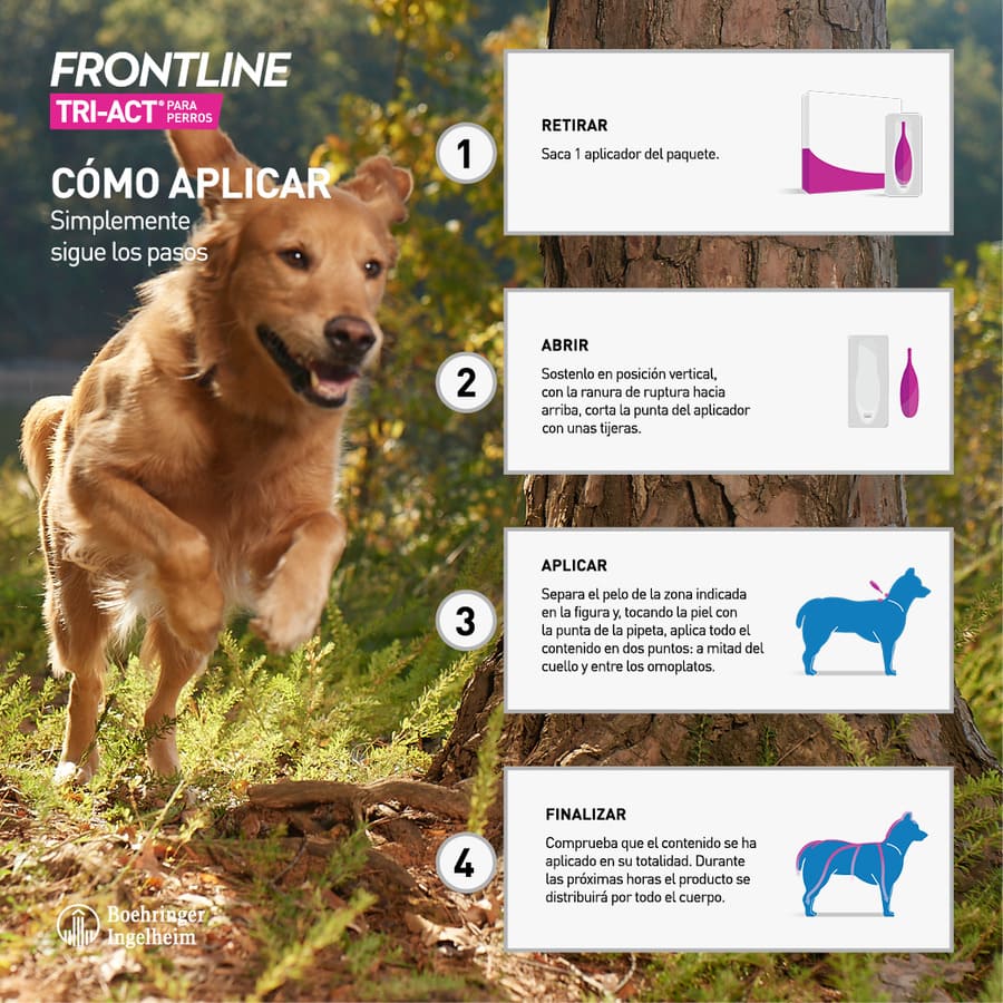 Pipetas antiparasitárias Frontline Tri-Act para cães de 5 a 10 kg