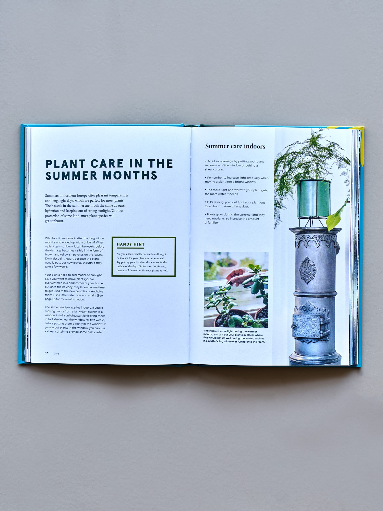 Green Home - The Joy of Living with Plants | Hardcover. Engelsk. 18 x 25,5 x 2 cm. 160 sider. | Mint Leaf | New Mags