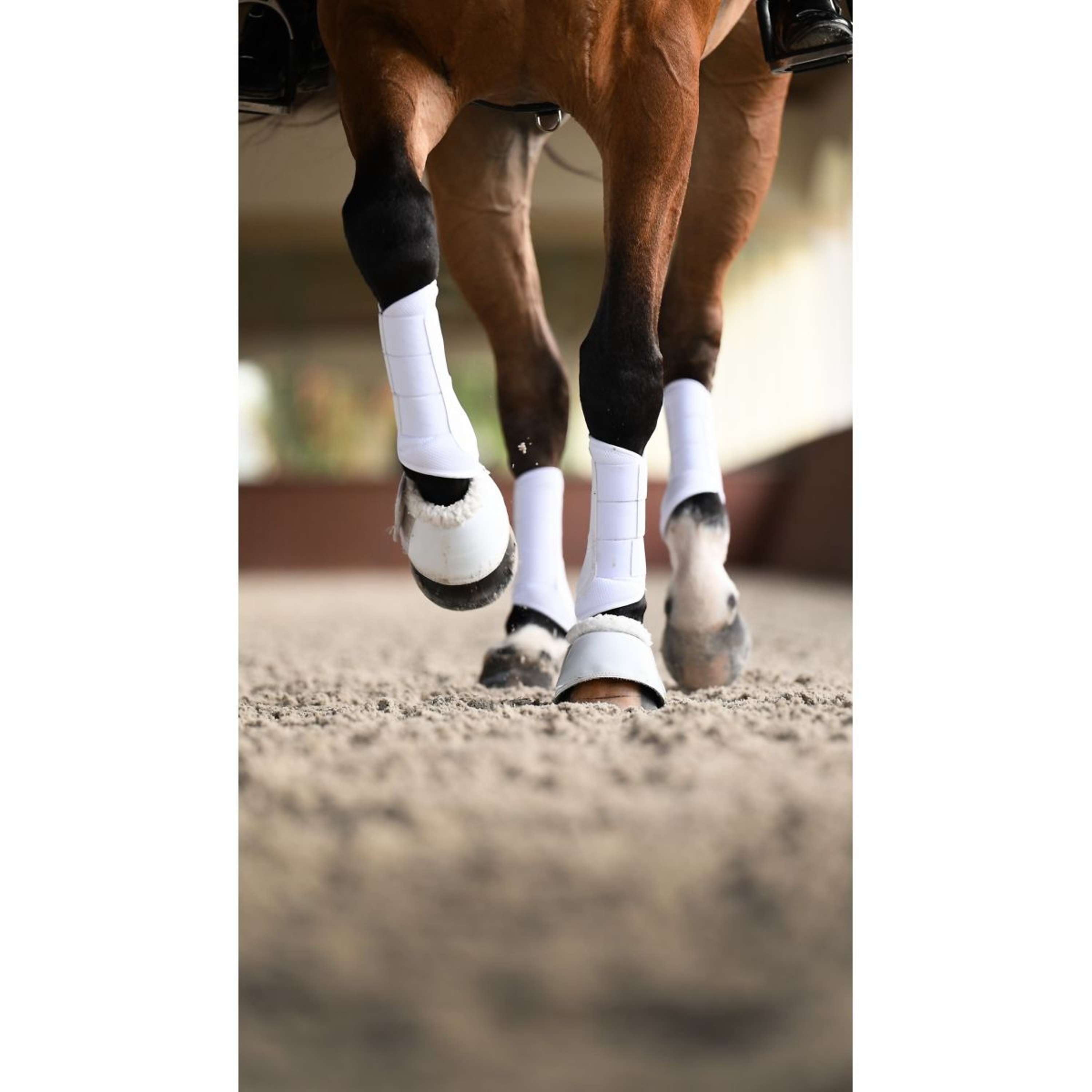 Equestrian Stockholm Springschoenen White Silver