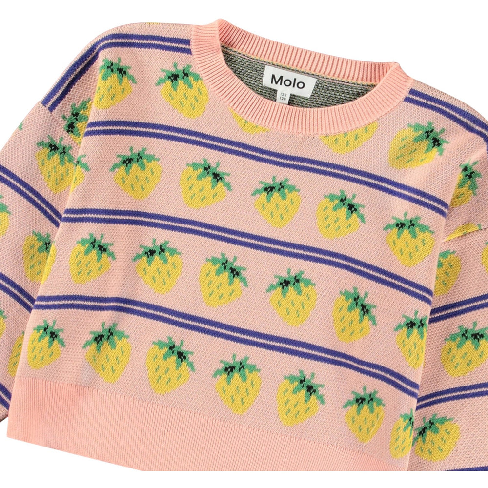 Køb Molo Nature Fruits Gerrie Jumper