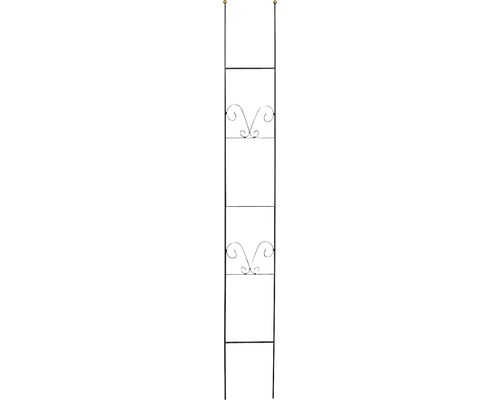 Decoratief trellis Lydie staal H 180 cm zwart-goud