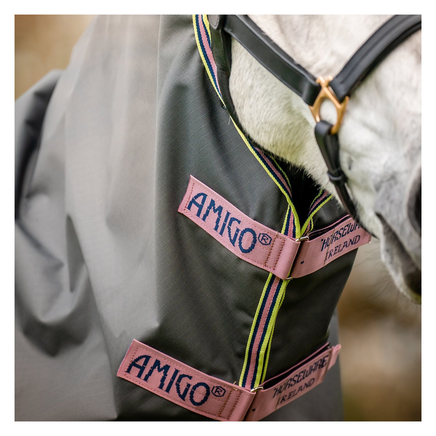 HORSEWARE Halsteil AMIGO Hero Ripstop - shoadow/rose/navy