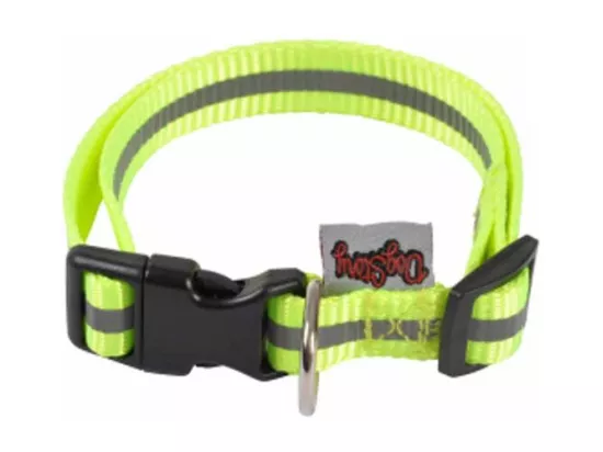 Collier Pour Chien 