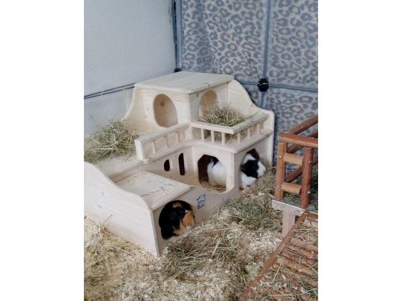 Resch Meerschweinchenschloss, 55 x 33 x 39 cm Ein Schloss für Meerschweinchen, junge Zwergkaninchen, Chinchillas und Ratten