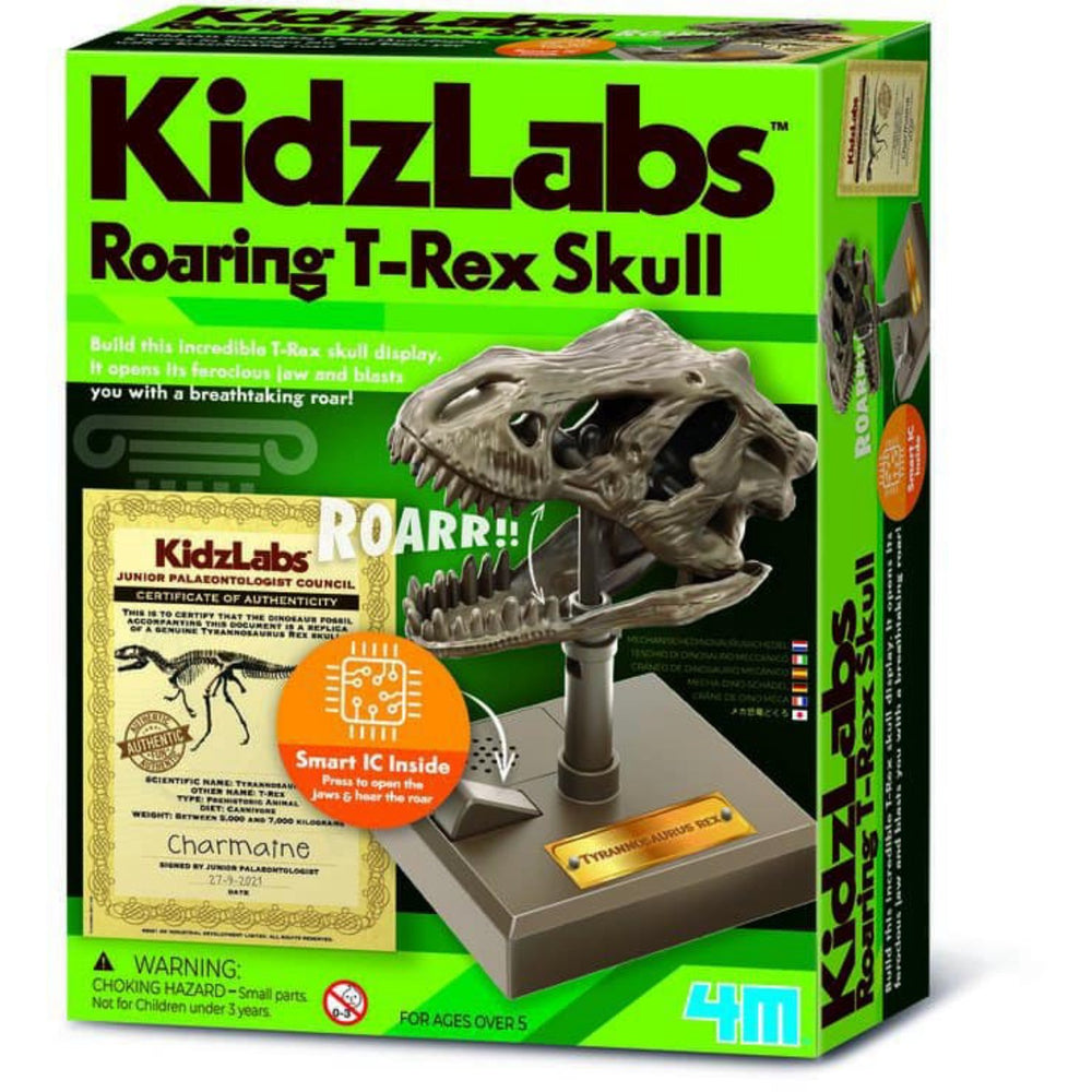 Køb 4M Kidzrobotix / Roaring T-Rex Skull
