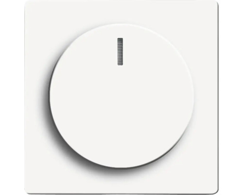 Busch-Jaeger 6540-84-102 Centraalplaat met draaiknopafdekking voor dimmer Future Linear studiowit