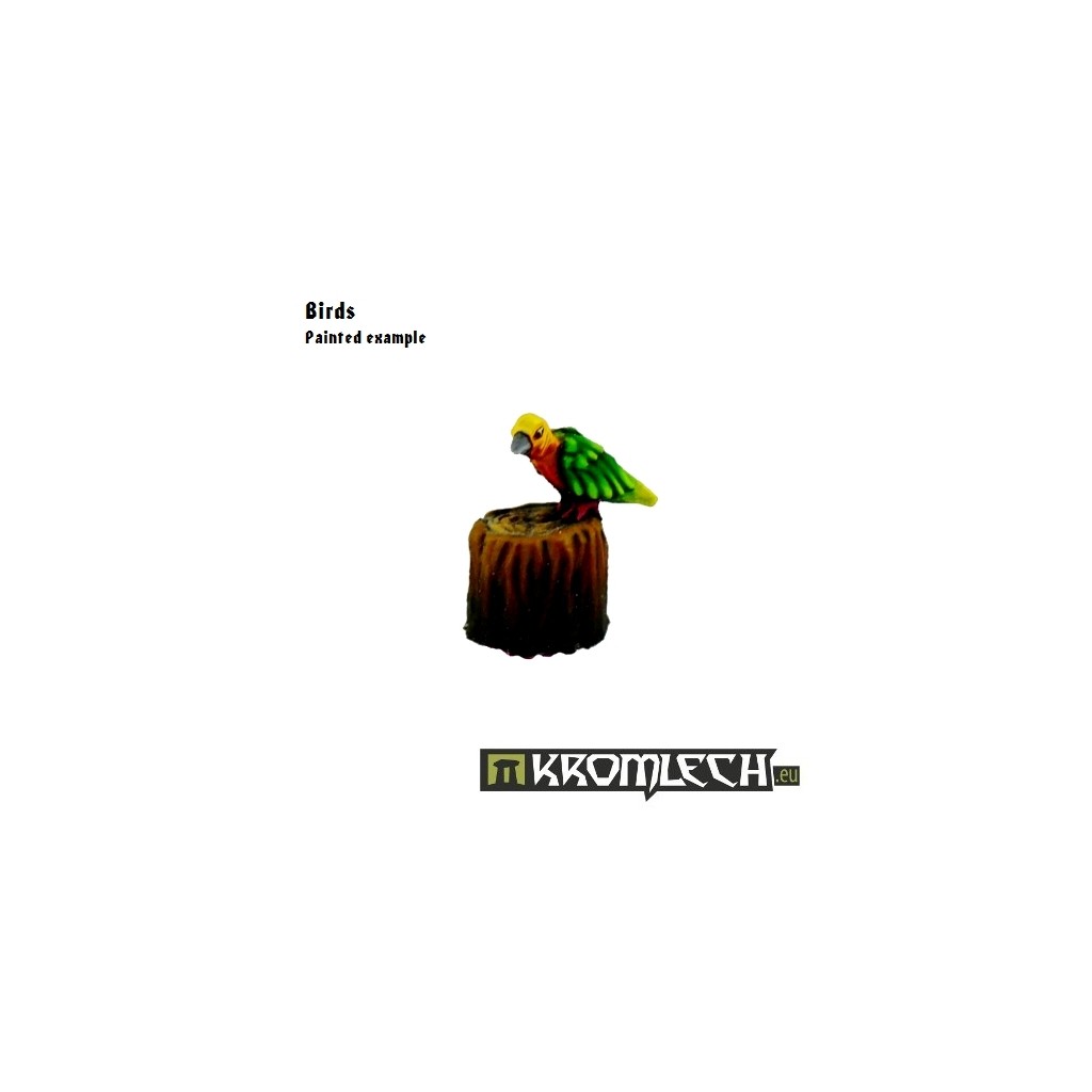 Birds
